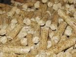 Brennstoffpellets - фото 2