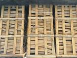 Дрова дуб граб Береза - фото 5