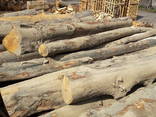 Дрова / Firewood / Brennholz - фото 8