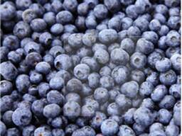 Dybfrosne bær og frugter, bær- og frugtblandinger samt kompotblandinger.