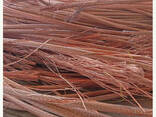 Copper Wire Scrap 99.99% / TOP QUALITY 100% Copper Wire Scrap - photo 2