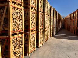 Firewood : fresh/semifresh high-quality hardwood