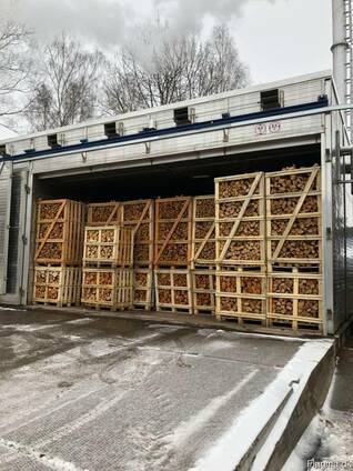 Firewood (mix, birch, oak, hornbeam) / Дрова