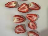 Freeze dried fruits wholesale - фото 13