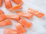 Fresh Salmon Fish / Salmon From Norway - 100% Export Quality Salmon Fish / Salmon fillet