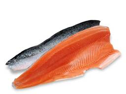 Frozen IQF Fish Salmon, Frozen Cod Fish, Mackerel and Frozen Shrimps, Salmon Fillets Price