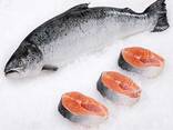 Frozen Salmon Premium Quality Salmon Fillet - фото 1