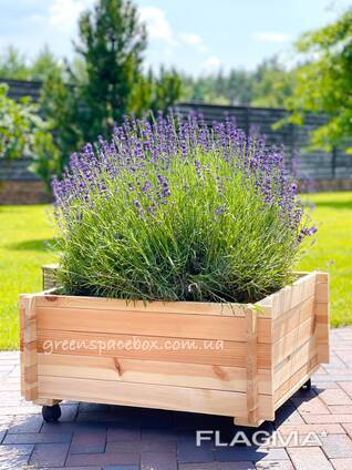 Garden boxes-constructors