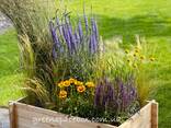 Garden boxes-constructors - photo 6