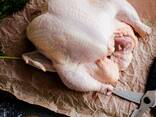 Halal Frozen Chicken, Thigh, Back quarter, Wings , Fillet IPBF , IQF, BF. Ukraine - фото 1
