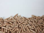 High Quality Premium Woods Pellets 6mm 8mm Big Bag or 15 kg Bags Fuel Oak/Pine Wood Pellet - фото 1