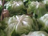 Латук - фото 2