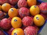 Mandarines Morket - фото 3