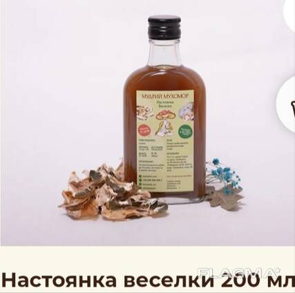 Настойка гриба Веселки