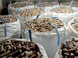 Nestro briquettes | Heat logs | Manufacturer | Eco-fuel | Ultima Carbon - photo 1