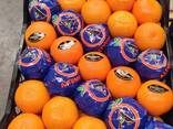 ORANGE WASHINGTON - photo 2