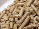 Pine Wood Pellets From Europe, high quality wood pellets ready for delivery