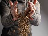 Pinewood Pellets - фото 1