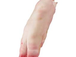 Pork Feet