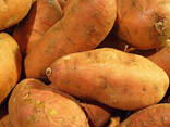 Potatoes - фото 4