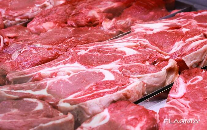 Premium halal Camel Meat