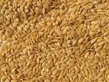 Manufacturer sells: confectionary flax - photo 1
