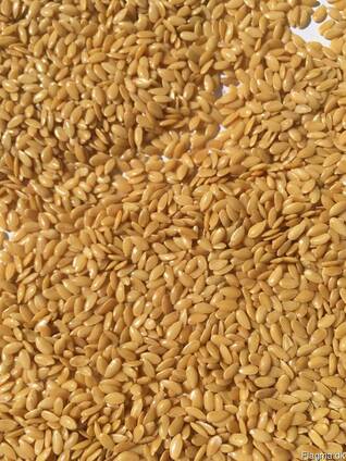 Manufacturer sells: confectionary flax