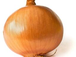 Quality Onions