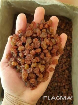 Raisins Sultana Aftabi (brown, confectionery)