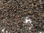 Raisins Sultana Aftabi (brown, confectionery) - фото 2