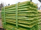 Rounded pine pillars, fences, palisades - фото 1