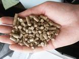 Sell fuel pellets A2 /6 and 8 mm/ (wood pellets) - фото 1