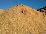 Wood Chips - фото 1