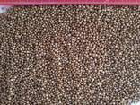 The company sells 2019 coriander - photo 1