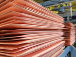 Top Supplier of Copper Cathode 99.99 Percent Worldwide - фото 1