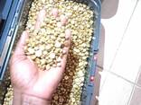 Trusted gold dealers and brokers - фото 1