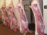 Wholesale supply of frozen pork meat from spain - photo 1