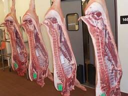 Wholesale supply of frozen pork meat from spain