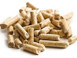 Wood Pellets - фото 1