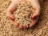 Wood Pellets - фото 2