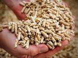 Wood Pellets - фото 3